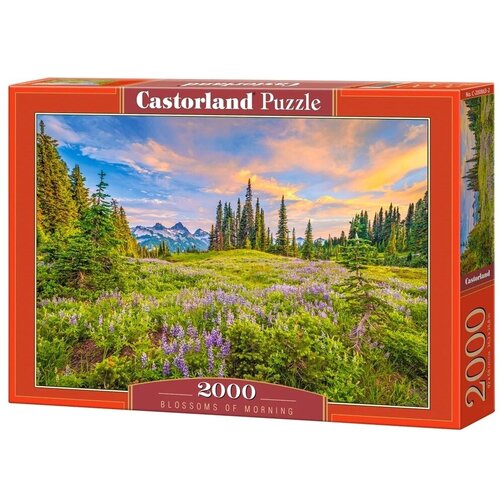 Пазл Castorland 2000 деталей: Утренние цветы пазл castorland совы 2000 эл c 200535