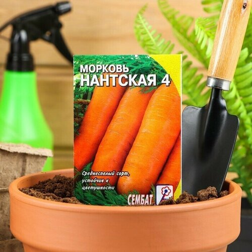 Семена Морковь Нантская 4, 2 г 14 упаковок