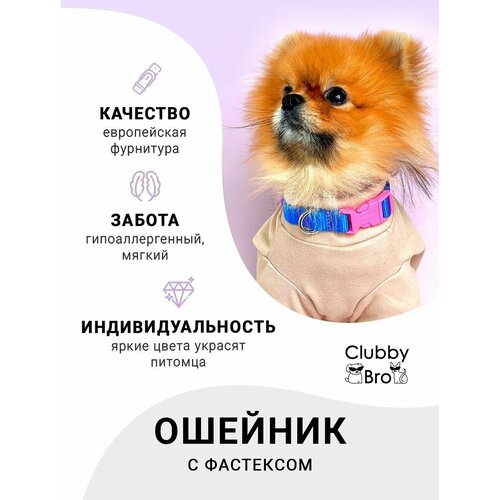 Clubby Bro Ошейник для собак мелких пород и средних пород, синий-розовый, размер M
