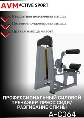 Профессиональный силовой тренажер для зала Пресс сидя/Разгибание спины AVM A-C064