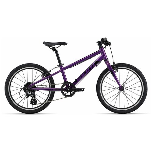 GIANT ARX 20 2022 purple