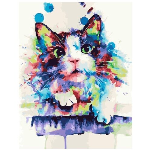 картина по номерам котик на сакуре 40x50 см Картина по номерам Радужный котик, 40x50 см