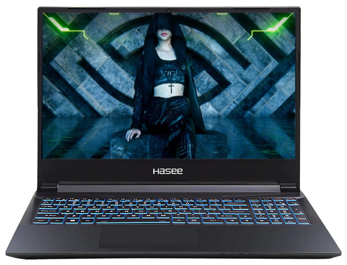 Hasee 15,6" FHD 60Hz, i5-10300H, 8GB DDR, SSD512GB, GTX1650, WiFi/BT, no Z7M-CU5NB