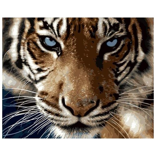 Картина по номерам Взгляд тигра, 40x50 см