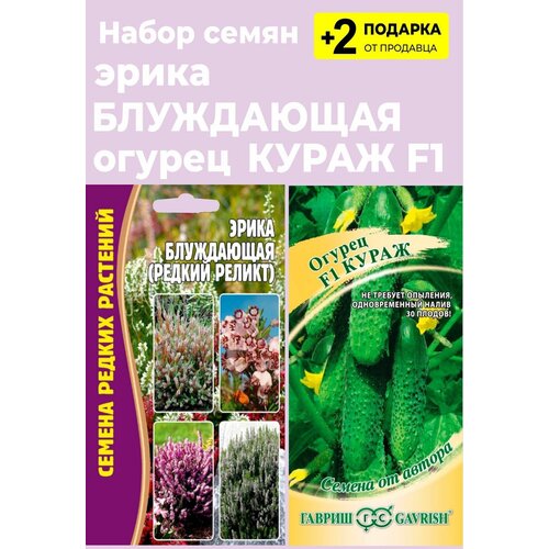 Семена Эрика блуждающая (редкий реликт), 15 сем. + Огурец Кураж F1, 10 сем. + 2 Подарка