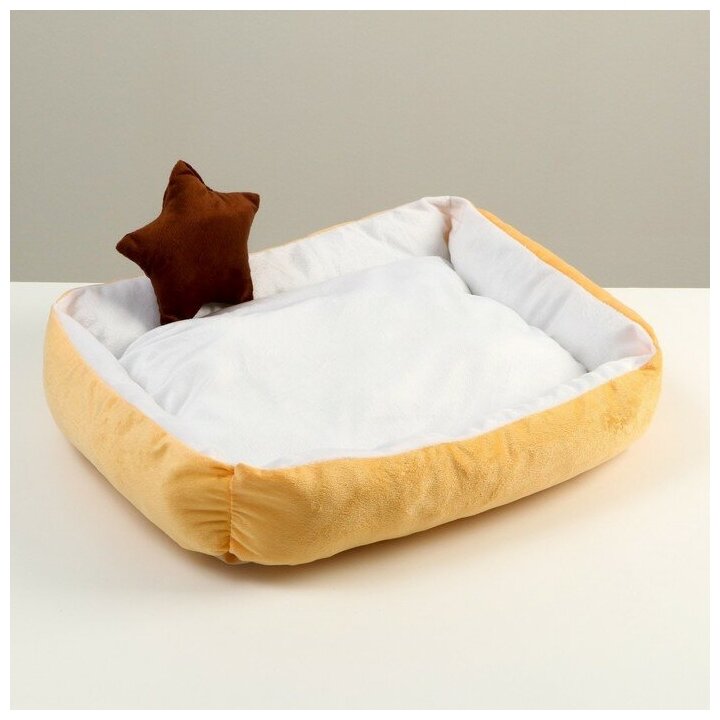 Пижон Лежанка мягкая прямоугольная со съемной подушкой + игрушка звезда, 54 х 42 х 11 см, персик - фотография № 1