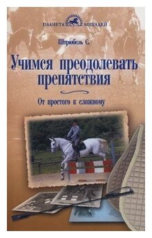 Учимся преодолевать препятствия. От простого к сложному - фото №1