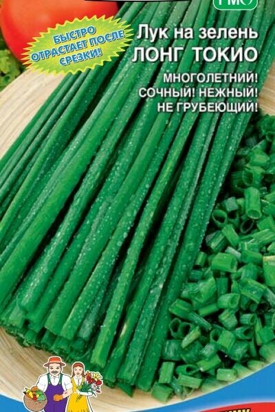 Семена Лук на зелень Лонг Токио 025гр (УД) Е/П
