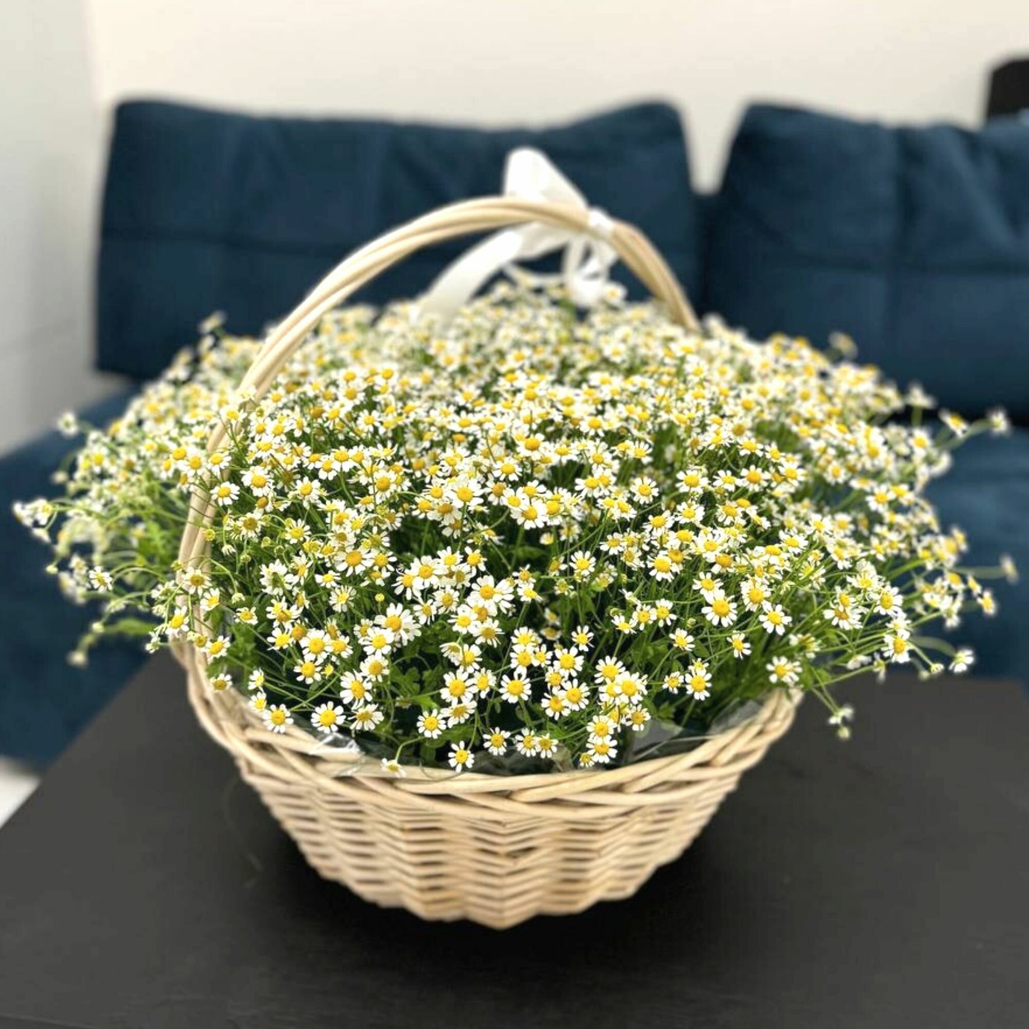 Букет живых цветов Ромашки кустовые в корзине 51 стебель Luxus Flowers
