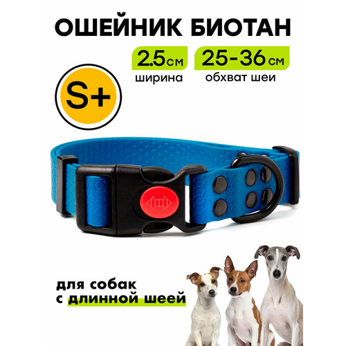 Ошейник из биотана 25-36 см (S+), 25 мм, Woofy "Iron" водостойкий, для небольших и средних собак, синий