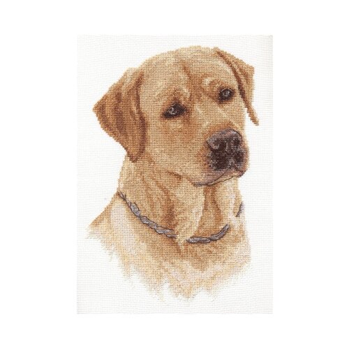 фото Набор для вышивания panna "лабрадор-ретривер", арт. ж-1227, 16,5х24 см