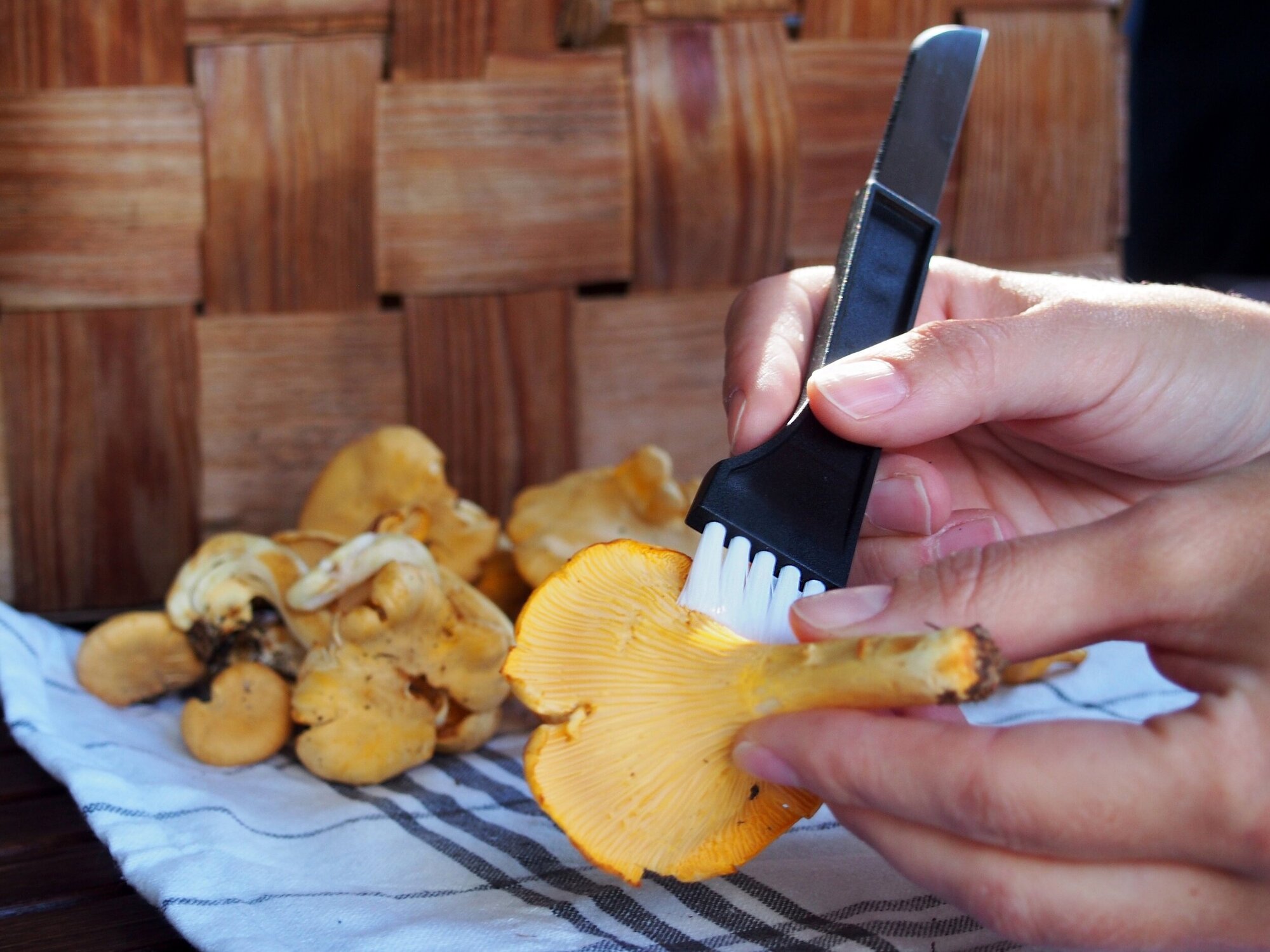 Нож хозяйственный для сбора грибов с кисточкой - фотография № 4