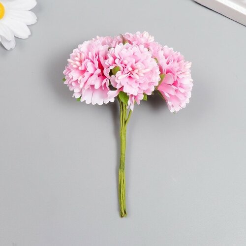 Цветы для декорирования Астра нежно-розовая 1 букет-6 цветов 10 см 10 шт