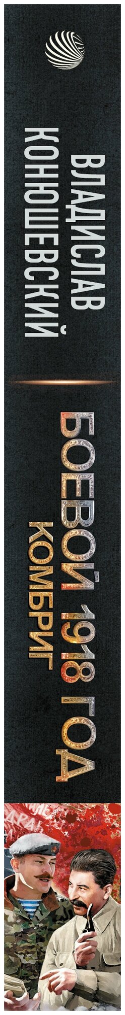 Боевой 1918 год. Комбриг (Конюшевский Владислав Николаевич) - фото №3