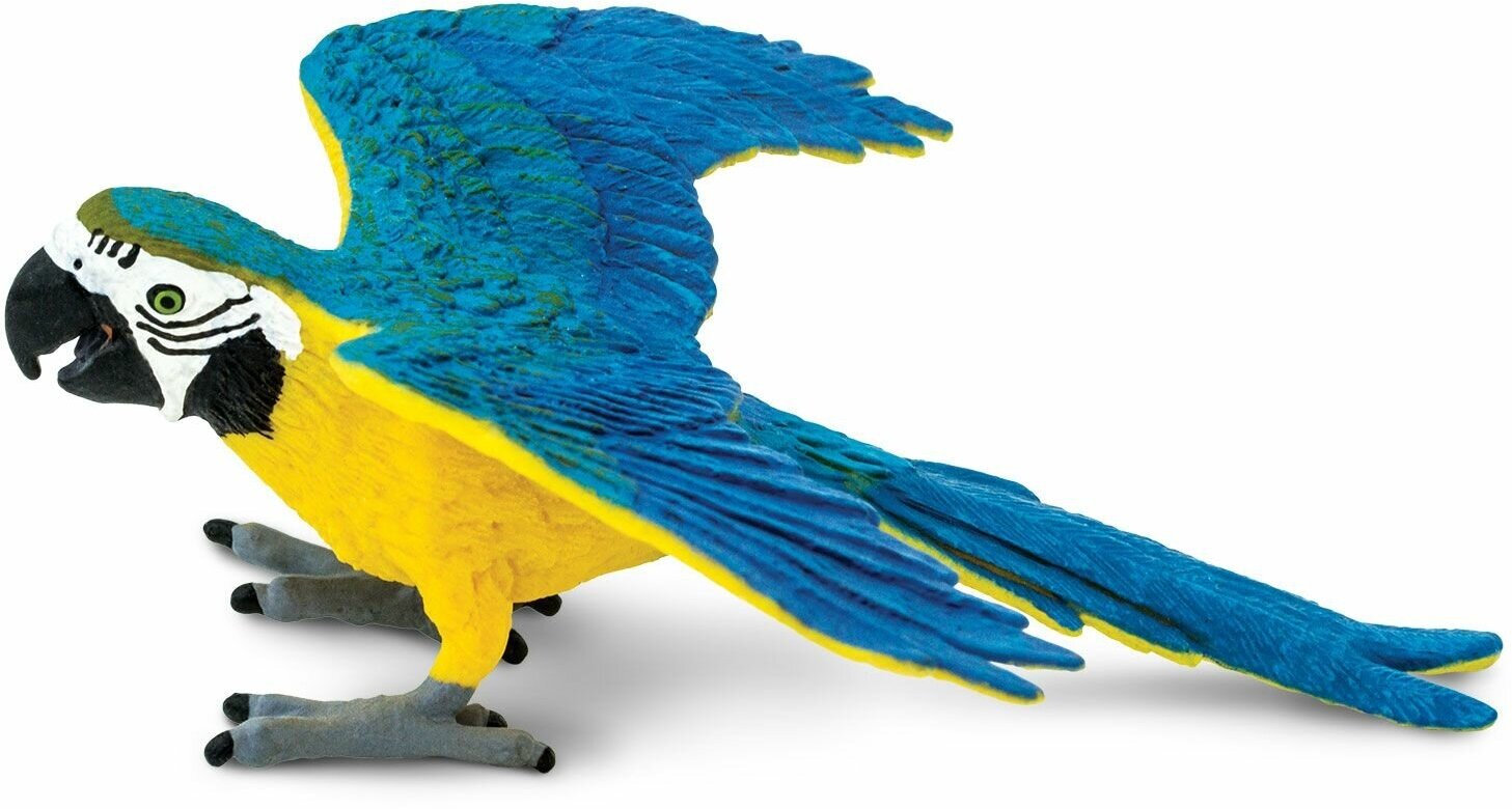 Фигурка птицы попугая Safari Ltd Сине-желтый ара, для детей, игрушка коллекционная, 264029