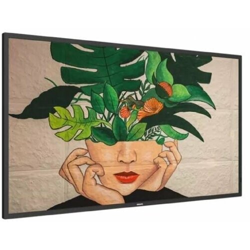 Philips 43BDL4550D00 15599000₽