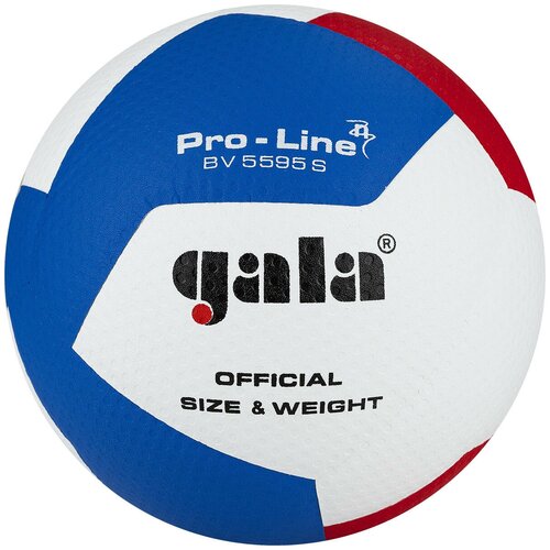 фото Мяч волейбольный gala pro-line 12, арт. bv5595sa, размер 5, синтетическая кожа пу microfiber, клееный, бутиловая камера, белый-голубой