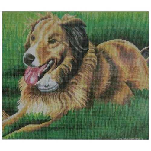 Алмазная вышивка Painting Diamond 