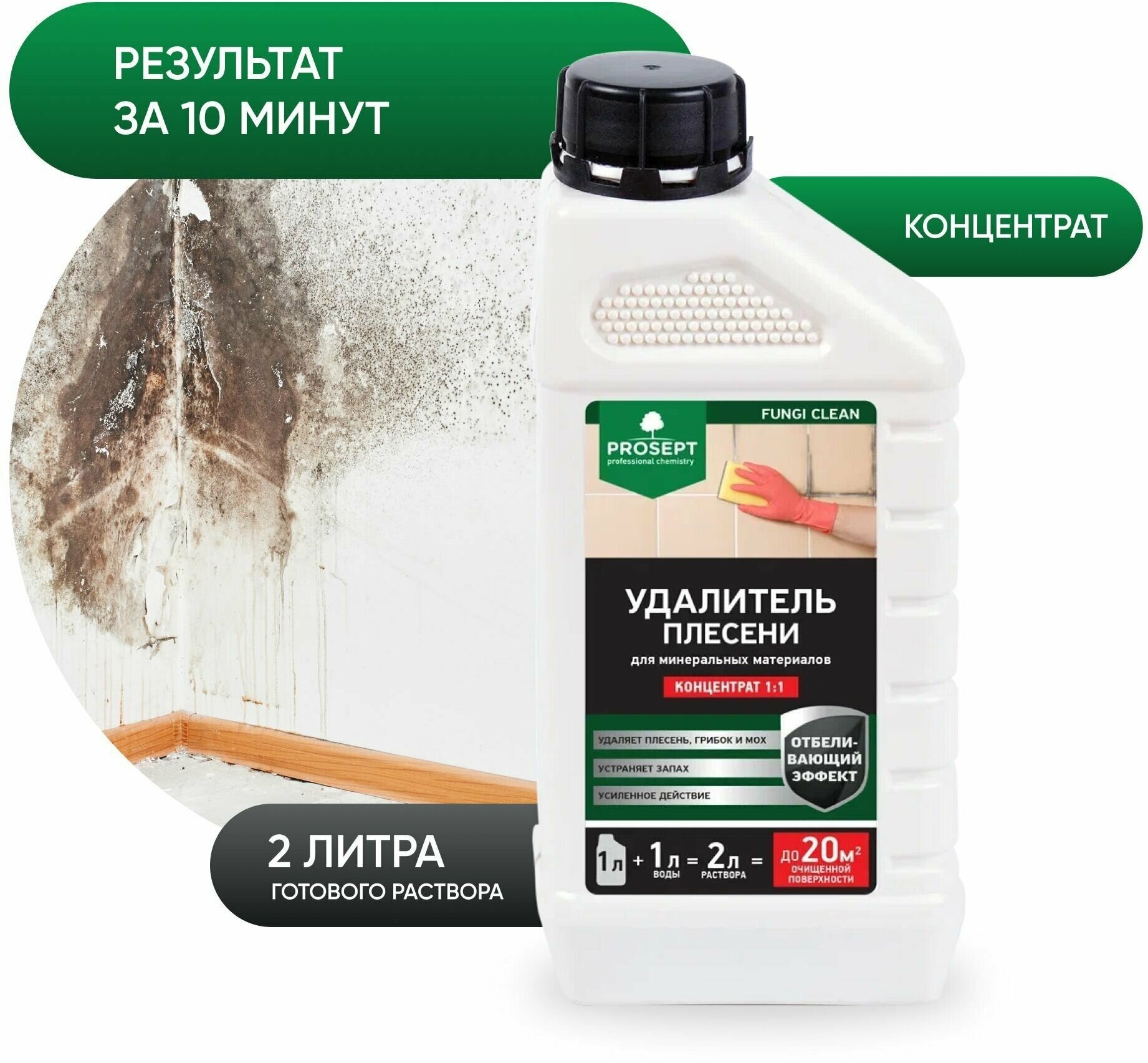 Fungi Clean для удаления плесени PROSEPT