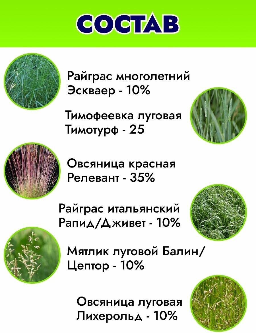 Смесь семян Зеленый квадрат Универсальный 03 кг