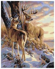 Картина по номерам "Пара оленей", 40x50 см