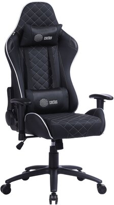 Кресло игровое Cactus CS-CHR-030BLS черный/серебристый эко. кожа с подголов. крестов. сталь