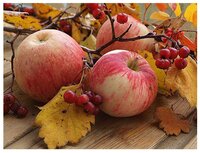 Картина мозаикой с нанесенной рамкой "Спелые яблоки" (35 цветов)