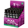 BCAA Sport Technology Nutrition BCAA 3000 Guarana (25 мл) - изображение