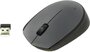 Мышь Logitech M170 Gray (910-004646)