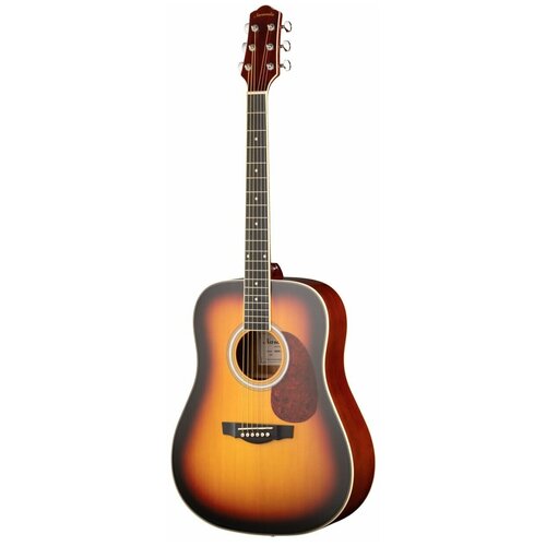 dg220bls акустическая гитара naranda Акустическая гитара Naranda DG220VS