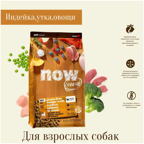 NOW Fresh беззерновой корм для взрослых собак с индейкой, уткой и овощами