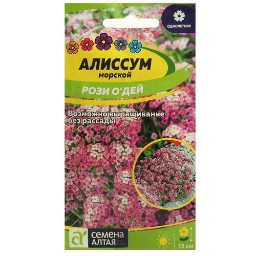 Семена цветов Алиссум 'Рози О Дей', Сем. Алт, ц/п, 0,1 г