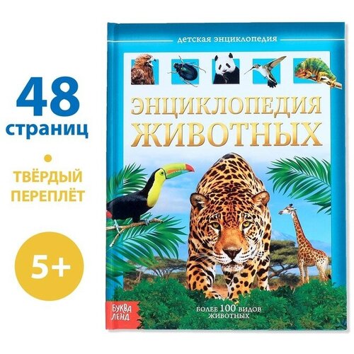 Детская энциклопедия в твёрдом переплёте «Животные», 48 стр. детская энциклопедия в твёрдом переплёте животные 48 стр