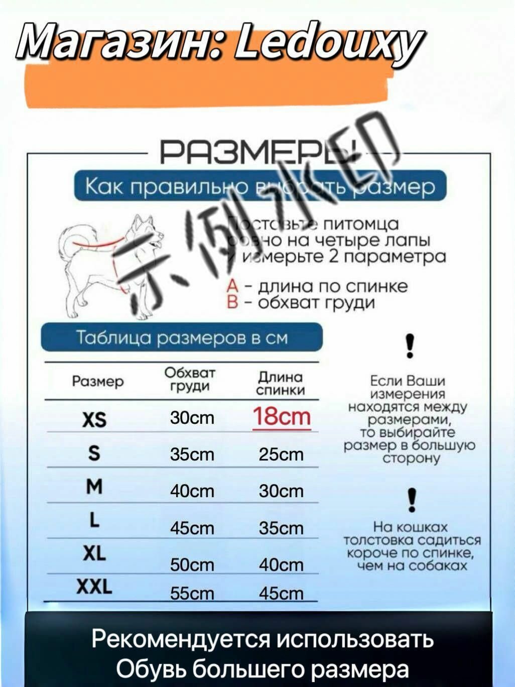 Одежда для животных — фото 1