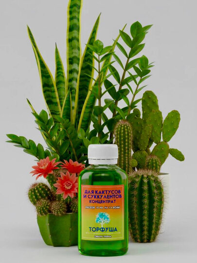 Удобрение для кактусов и суккулентов, минеральное, жидкое, 100мл