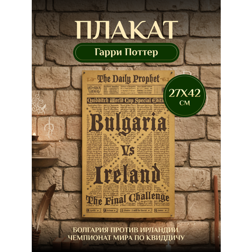 Плакат Гарри Поттер Daily Prophet "Болгария против Ирландии. Чемпионат мира по квиддичу" Fantasy Earth