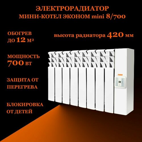 Электрорадиатор мини-котел Эконом мини 8700 24000₽