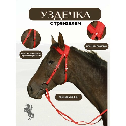 Sweethorse / Уздечка с трензелем и поводом для лошади