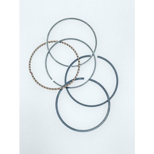 Комплект поршневых колец (1P56F) поз. B69 PT 410 (2018) 005511054 №872