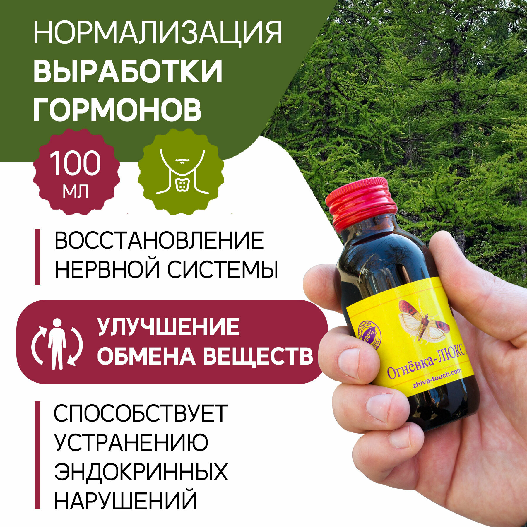 Картинки Настойка Огневка - люкс комплекс для щитовидной железы, витамины для эндокринной системы, дефицит йода, 100 мл.