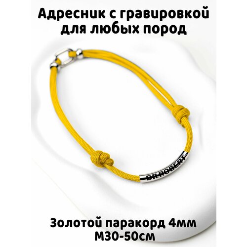 Украшение. Тихий адресник с гравировкой. Жетон 50мм на шнурке 4мм. Золотой М