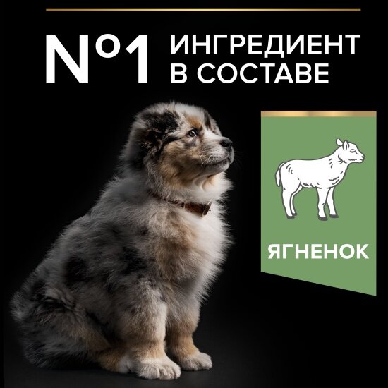 Корм сухой для собак средних пород Pro Plan при чувствительном пищеварении с ягненком 1.5 кг — фото 1