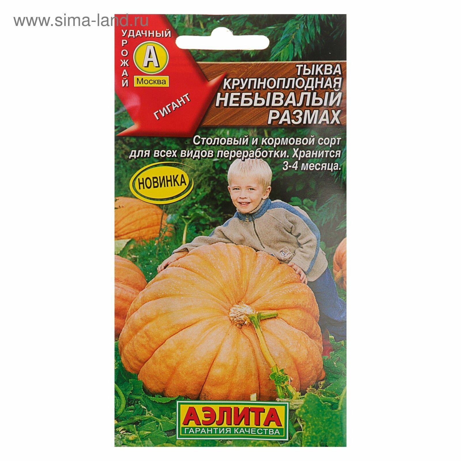 Семена Тыква крупноплодная 