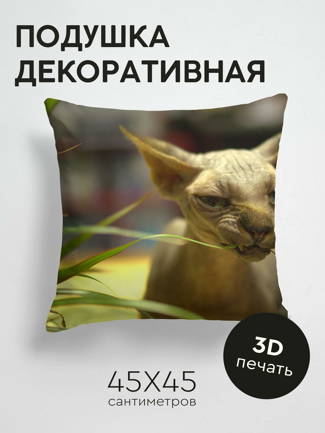 Подушка декоративная, 45x45см / Животные / канадский сфинкс / кот / кошка / лысый