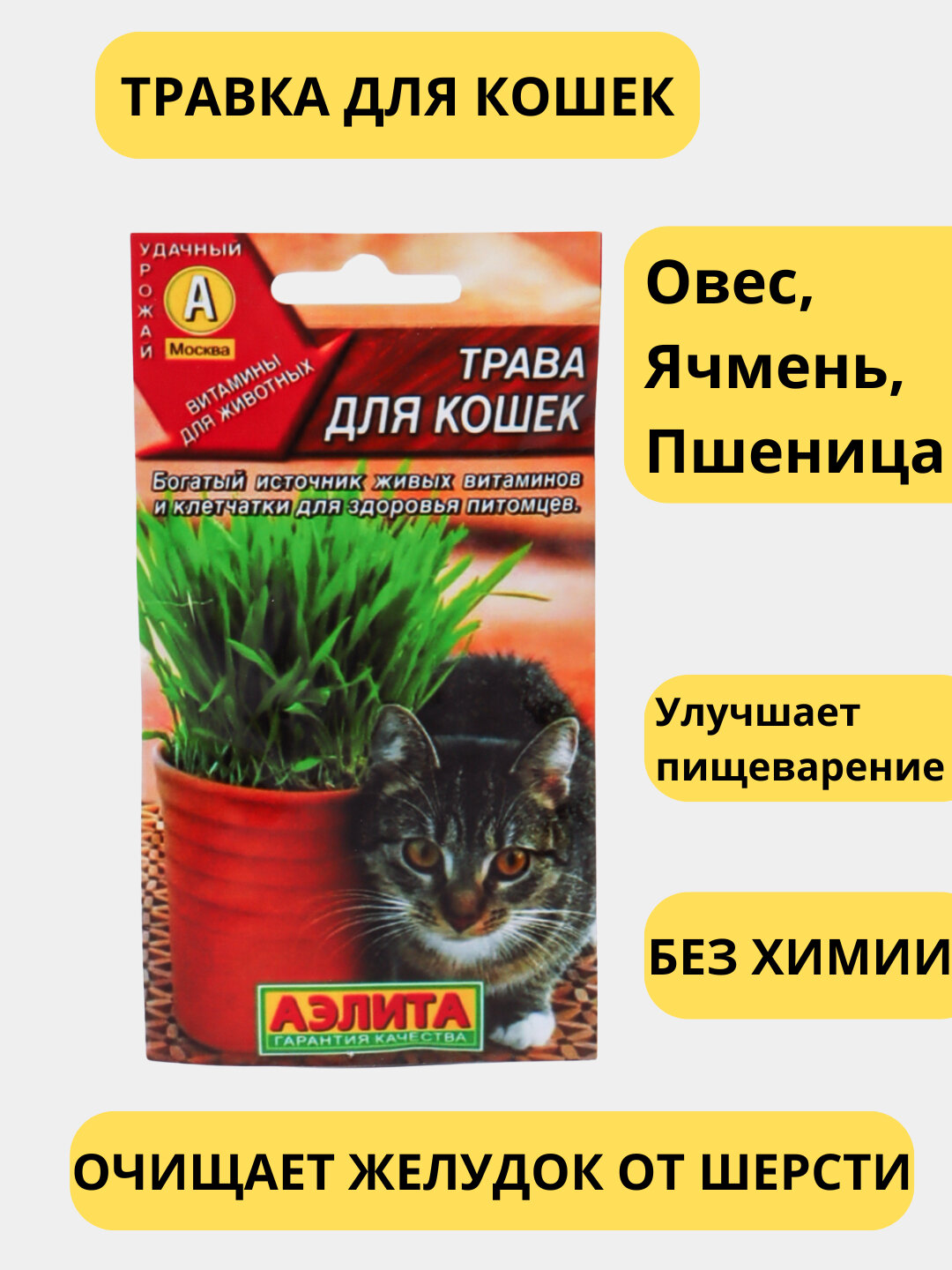 Трава для кошек, попугаев, грызунов, Трава для животных, Пророщенная трава, Зеленый корм, Витаминная добавка,