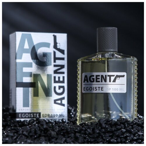 Парфюмерная вода мужская Agent Egoiste (Агент Эгоист), 100 мл.