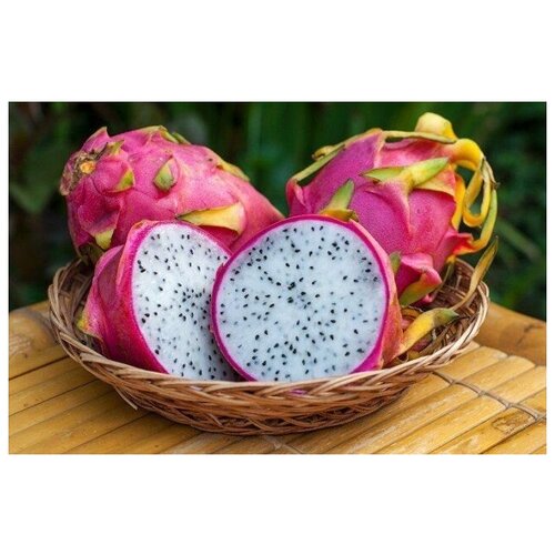 Семена Питайя (питахайя, драгонфрут, драконий фрукт) 10 шт, белая мякоть