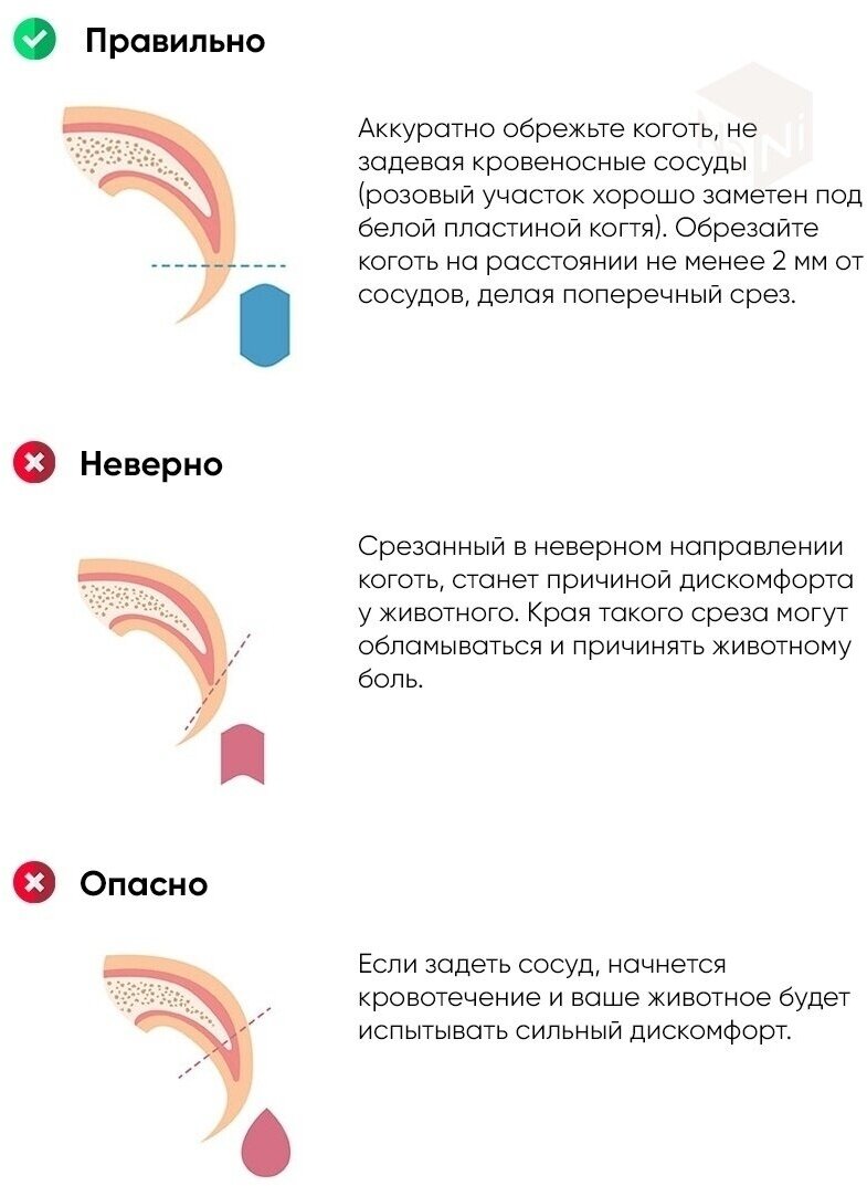 Набор, когтерез-секатор со стопором и пилочка, ножницы для стрижки когтей (груминга), для животных, бело-розовые - фотография № 3