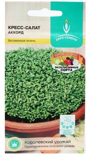 Семена Кресс-салат Аккорд листья нежные, вкус пряный, через 15 дней готов к срезке 1г.