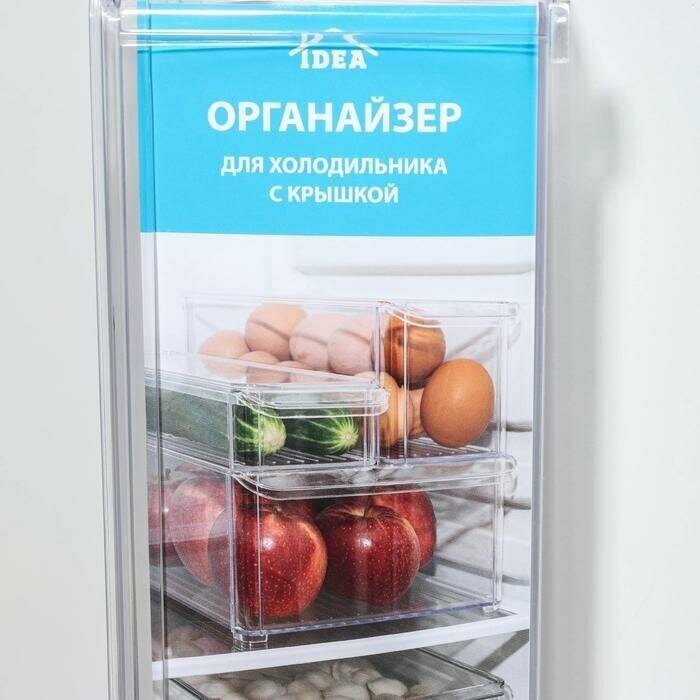 орйзер для холодильника 10х30х5см idea с крышкой м 1584 М-Пластика - фото №17